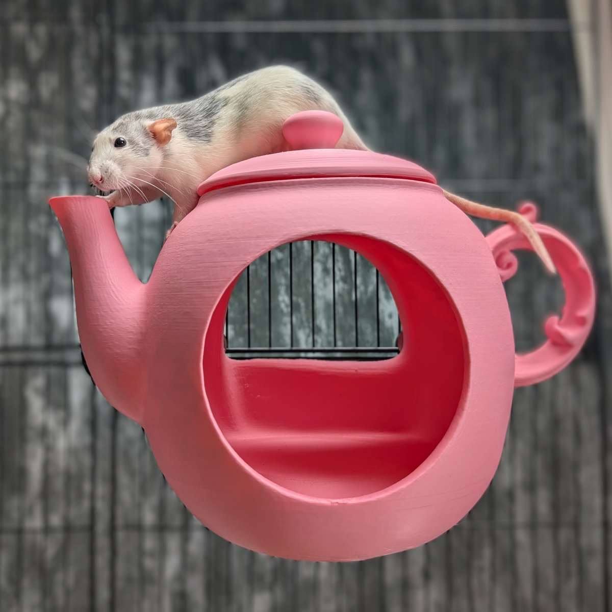 Teapot Rat Hide, Two Teacup Shelves or Full Set: side view of the empty pink teapot hide