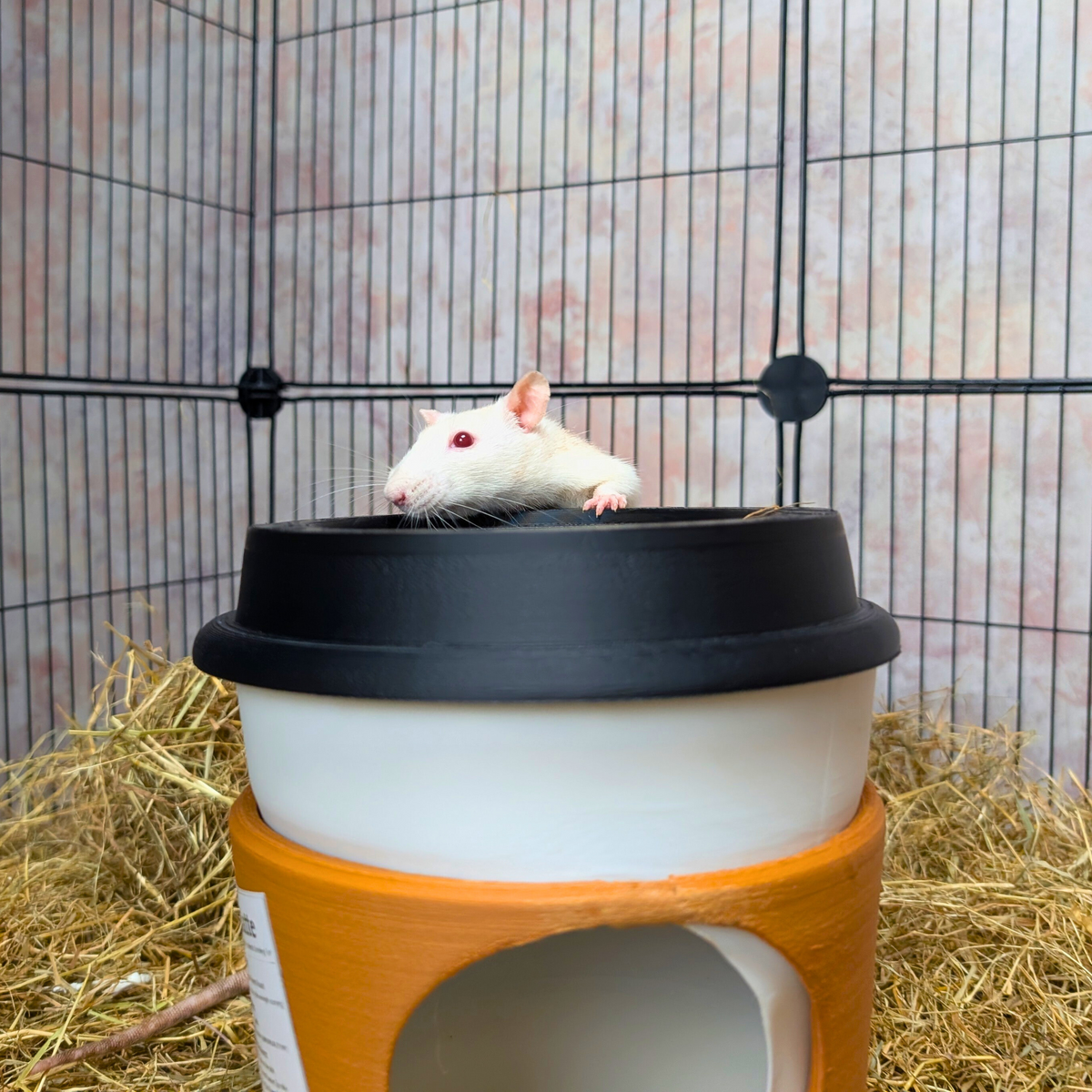 Rat Hide Coffee Cup front view showing entrance