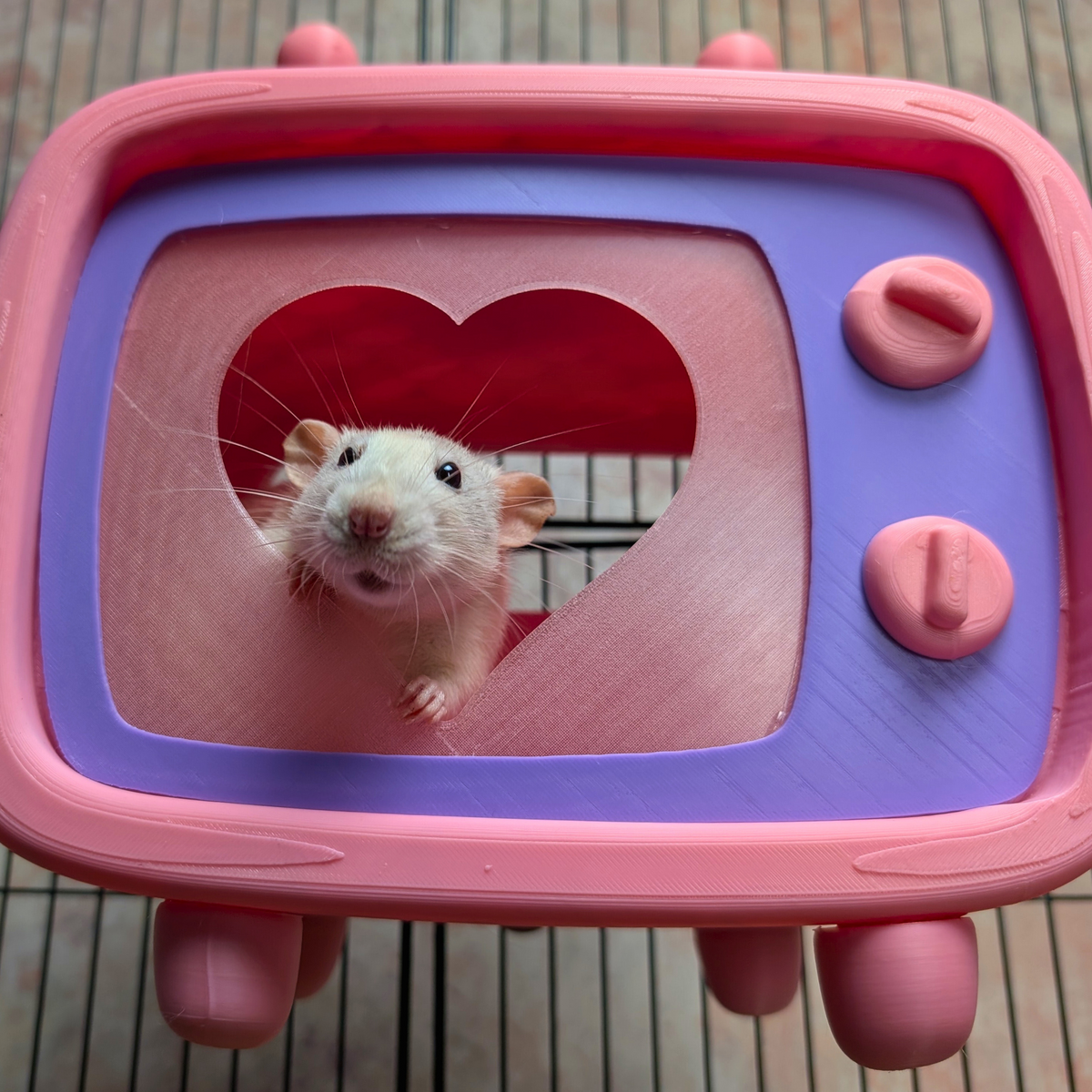 Retro TV Rat Hide front view showing entrance