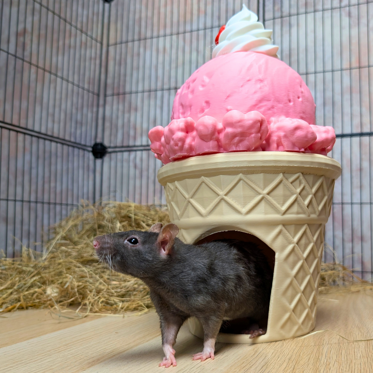 Strawberry Ice Cream Cone Rat Hide: cage accessory