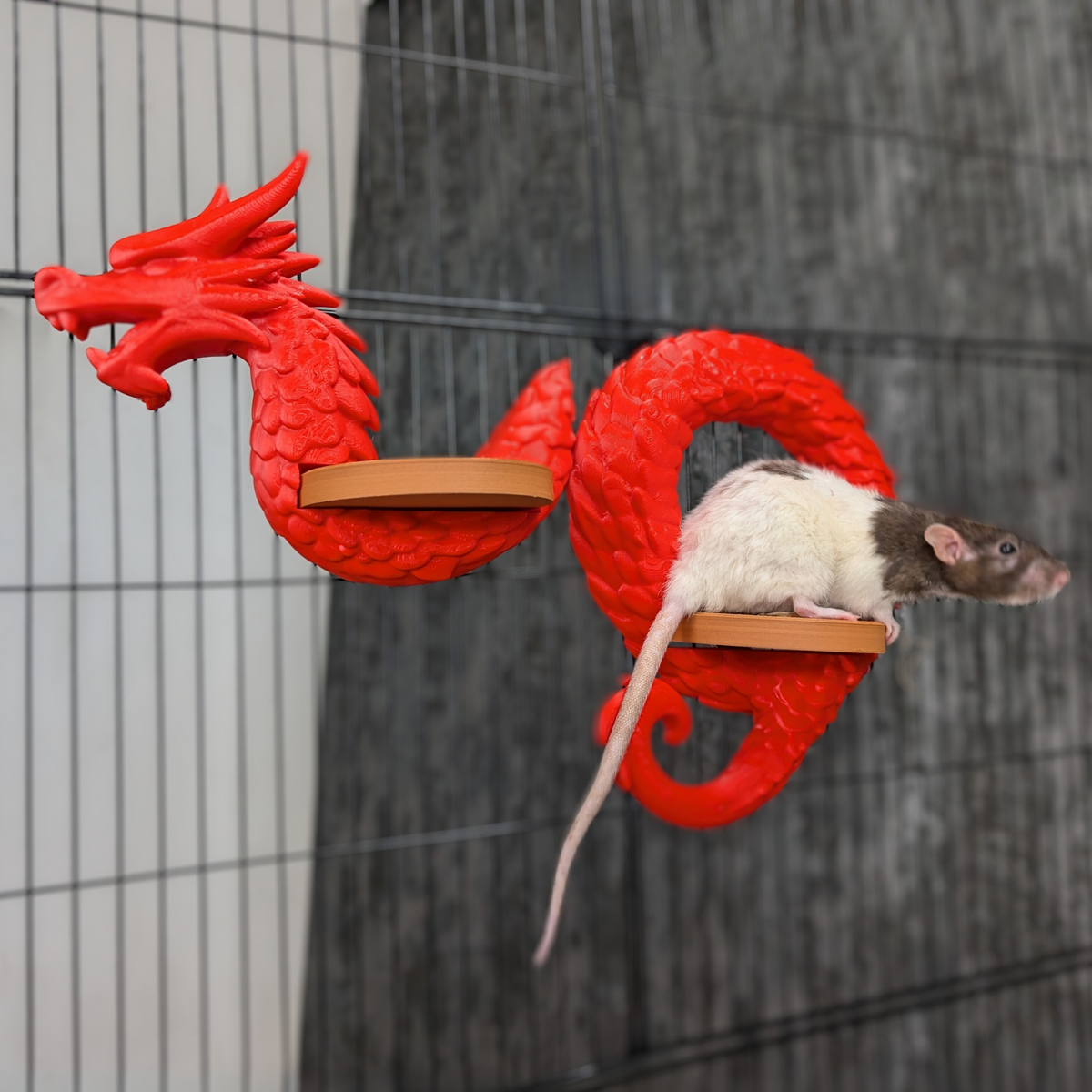 Fantasy RPG rat cage kit product photo 7
