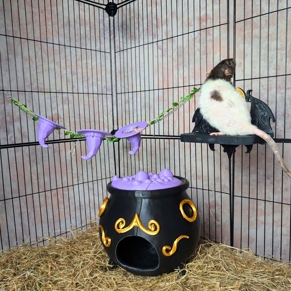 Gothic Rat Cage Accessories Set with rats and cauldron
