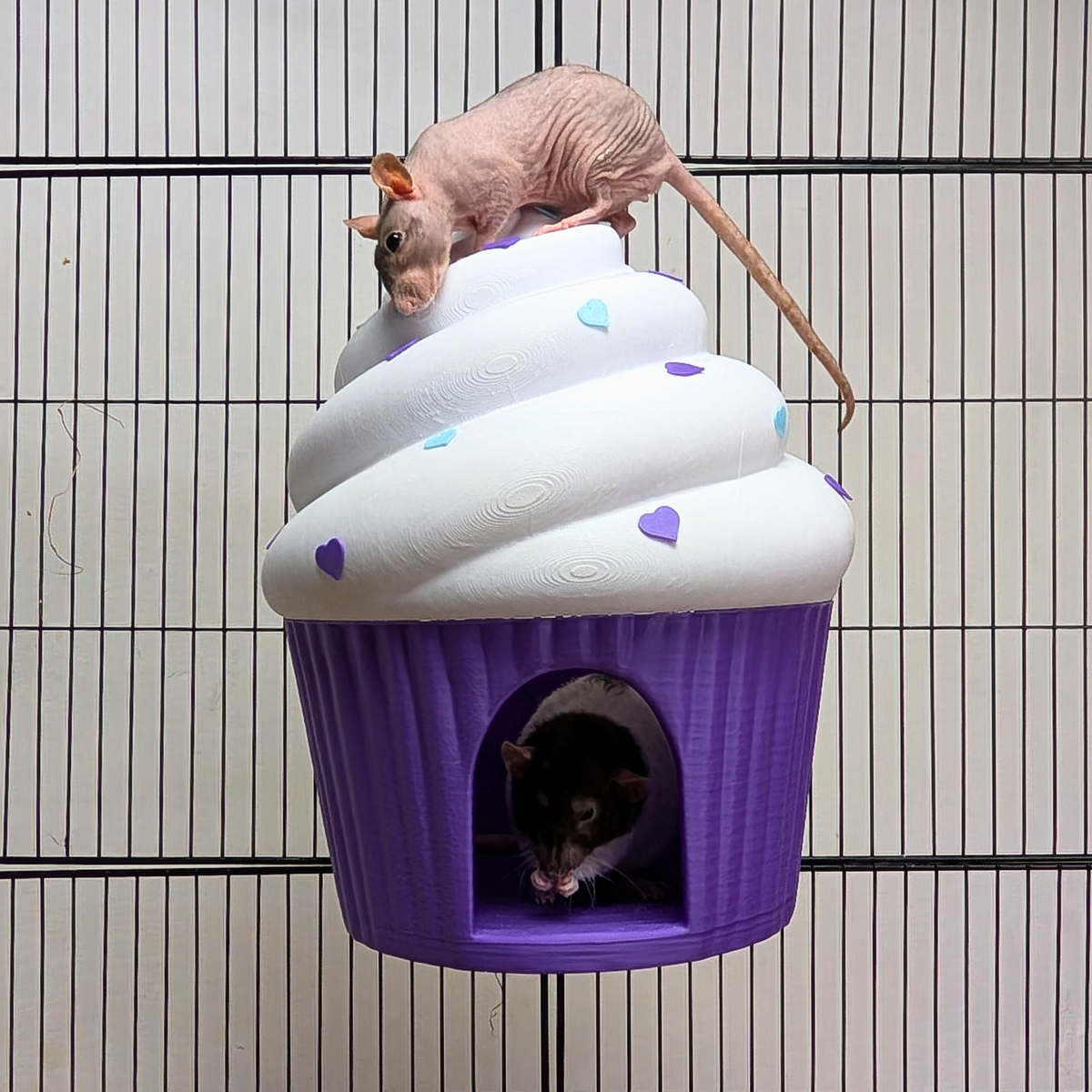 Cupcake rat hide with one rat on the frosting roof and another in the entrance