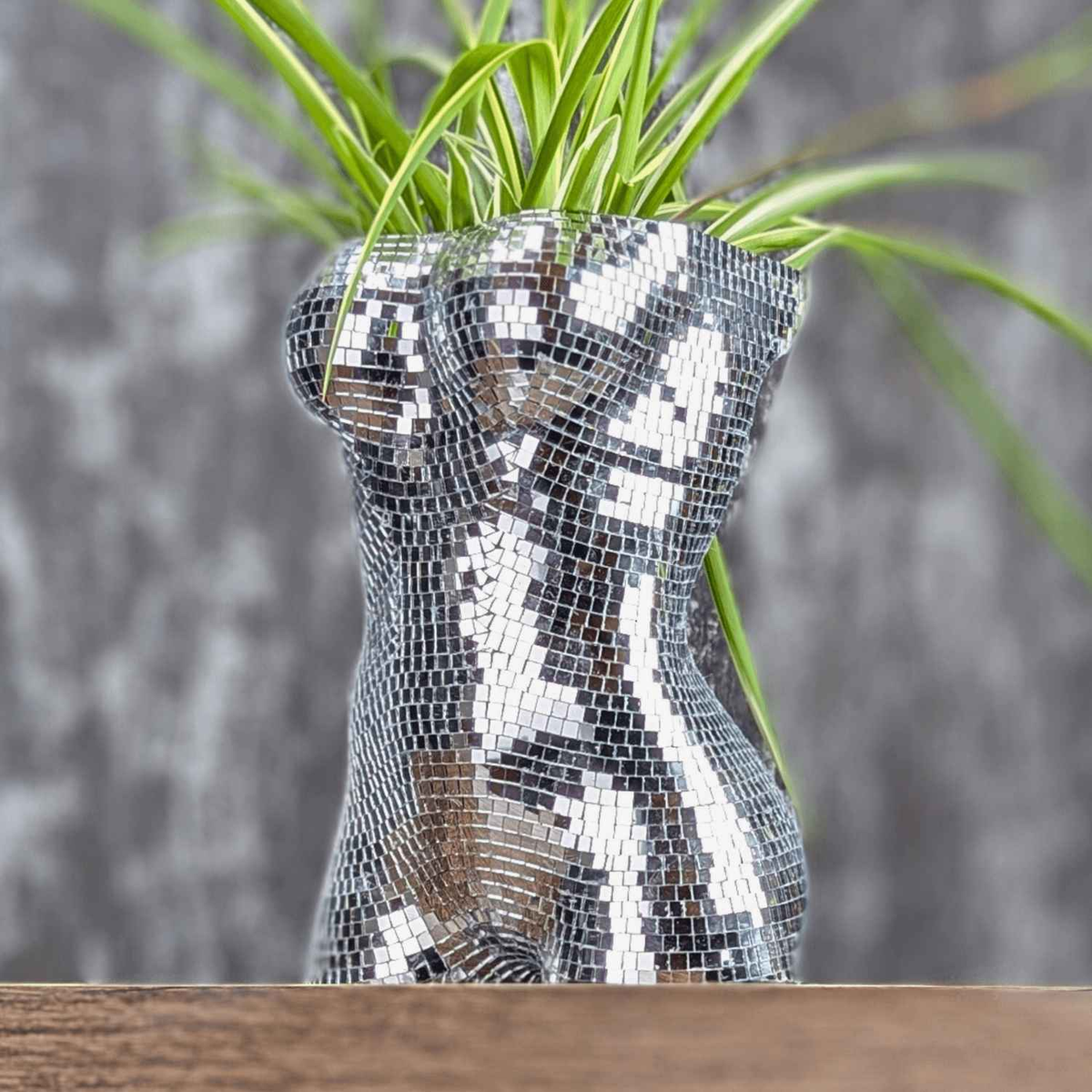 Planted silver mirror torso planter on a wooden surface