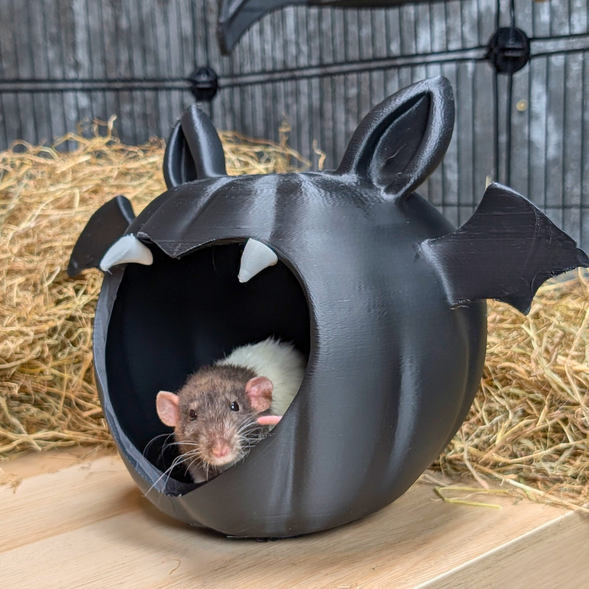 Black bat-shaped rat hide with a pet rat resting inside the cave