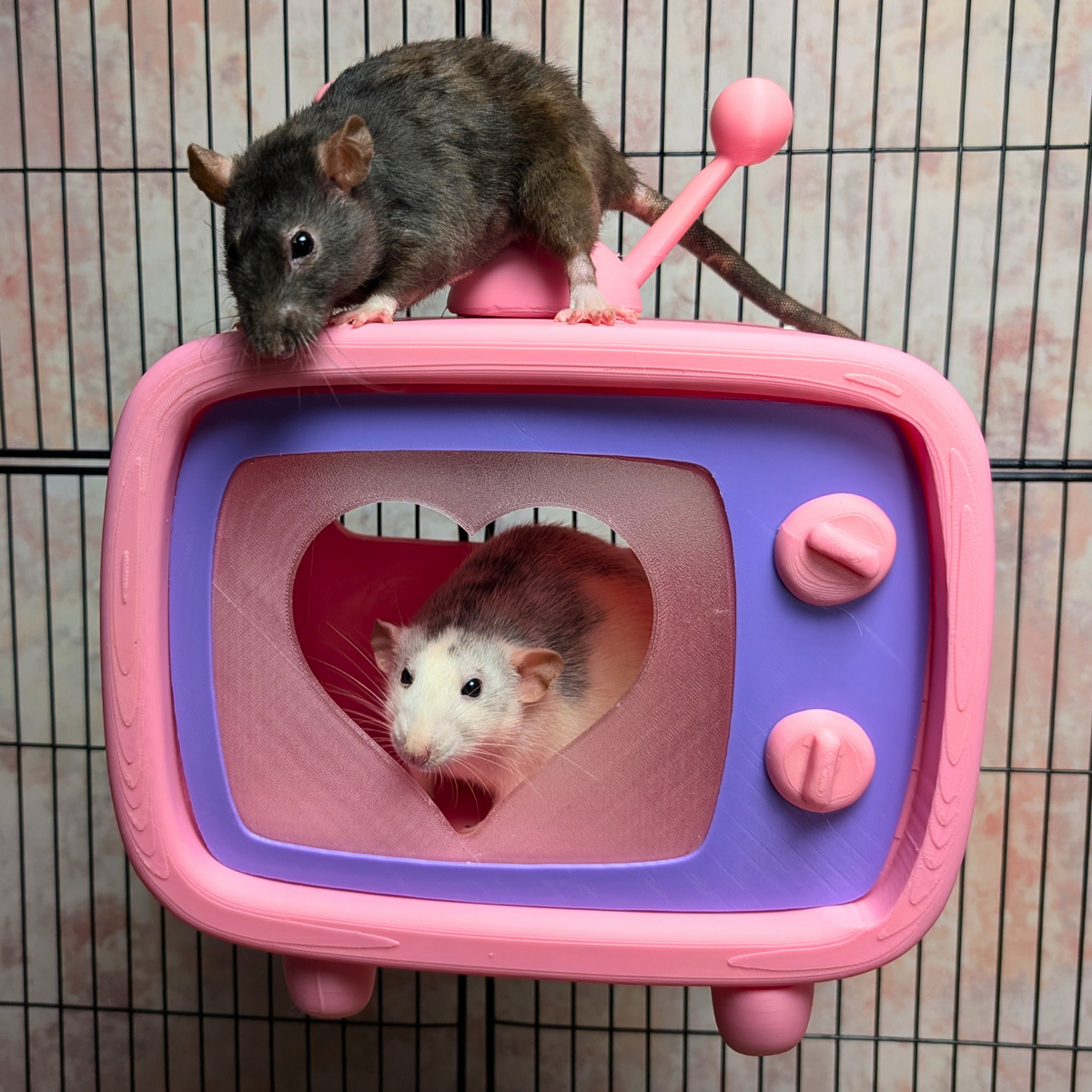 Retro TV Rat Hide: cage accessory
