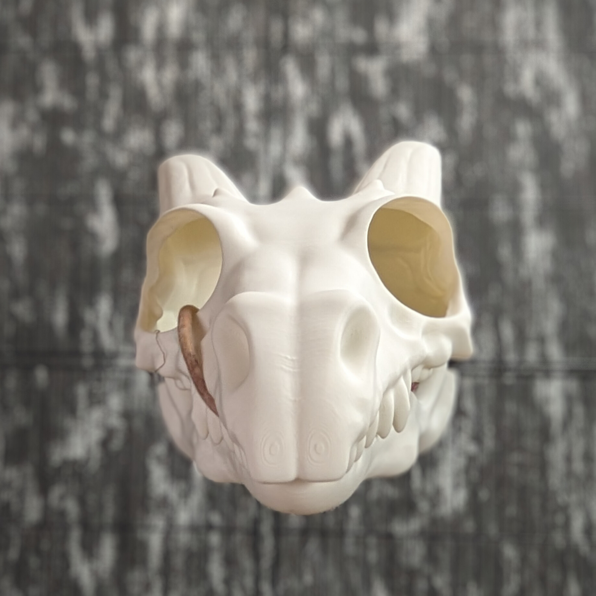 Dragon Skull Rat Hide: front view with a rat visible through one eye