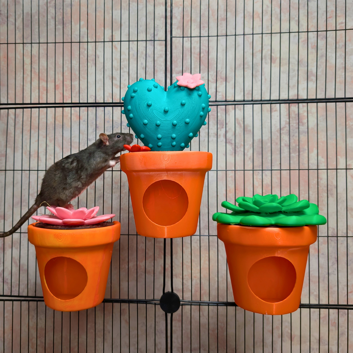 Cactus Rat Hide Set of 3 with rats in hanging pots