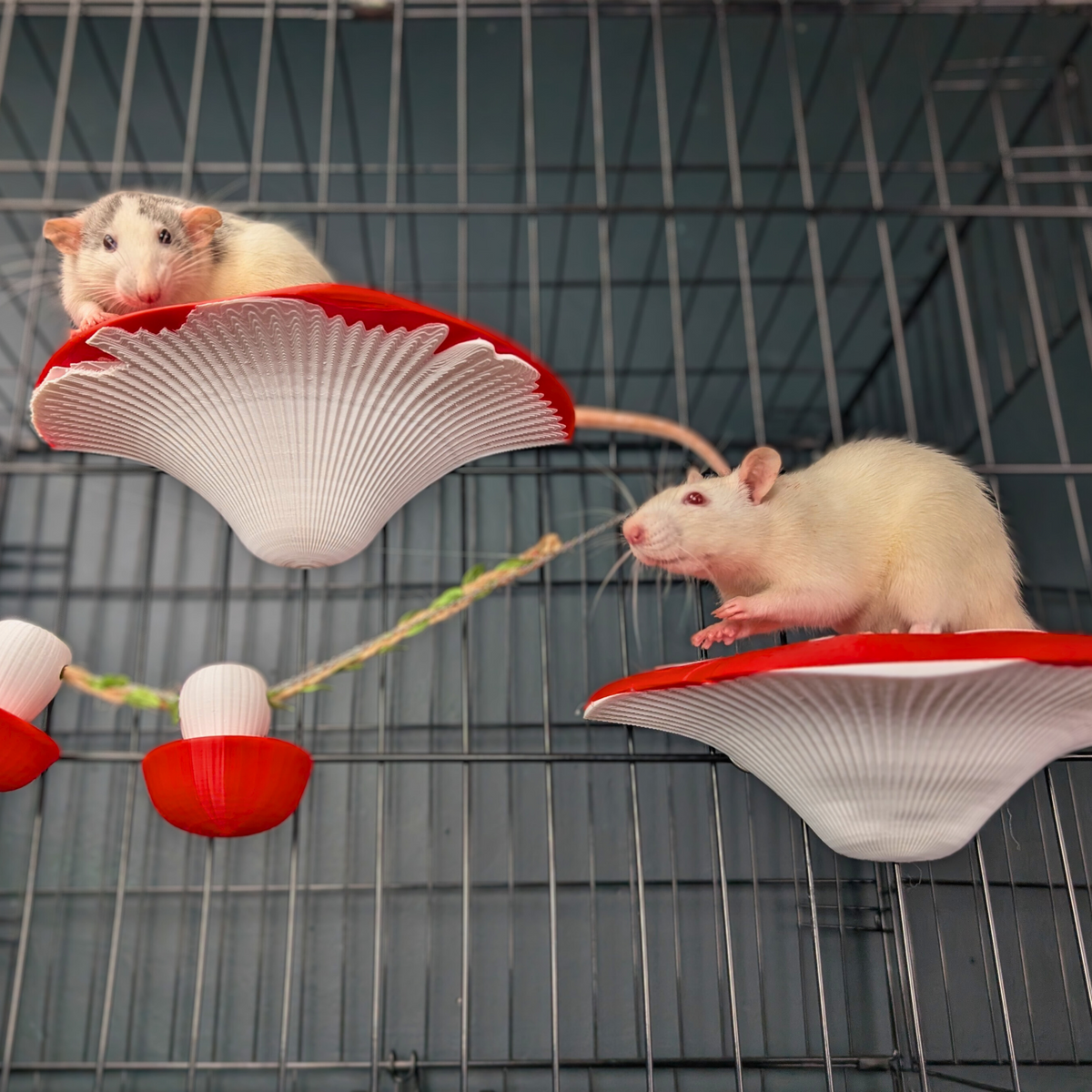 Fairy Mushroom Rat Cage Accessory Kit close-up of shelf surface