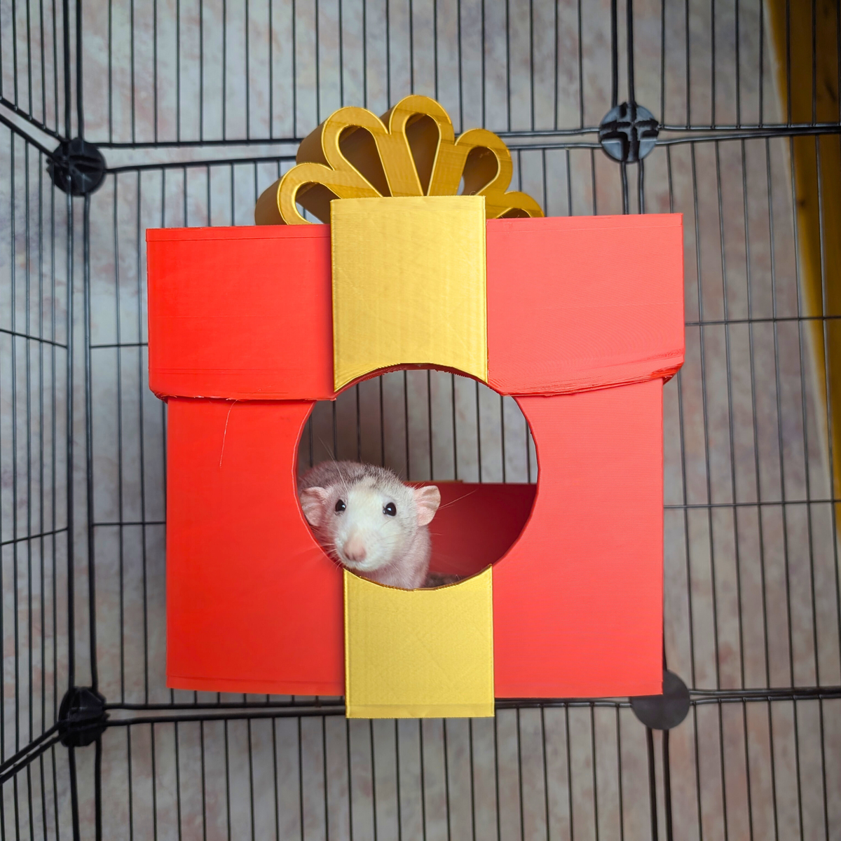Red and gold wall-mounted present rat hide with a rat inside