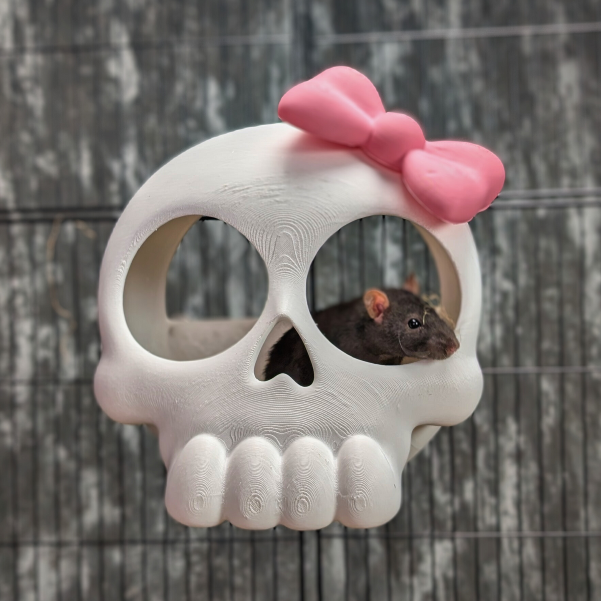 Gothic Skull Rat Hide: White skull hide with a dark rat peeking through one eye socket