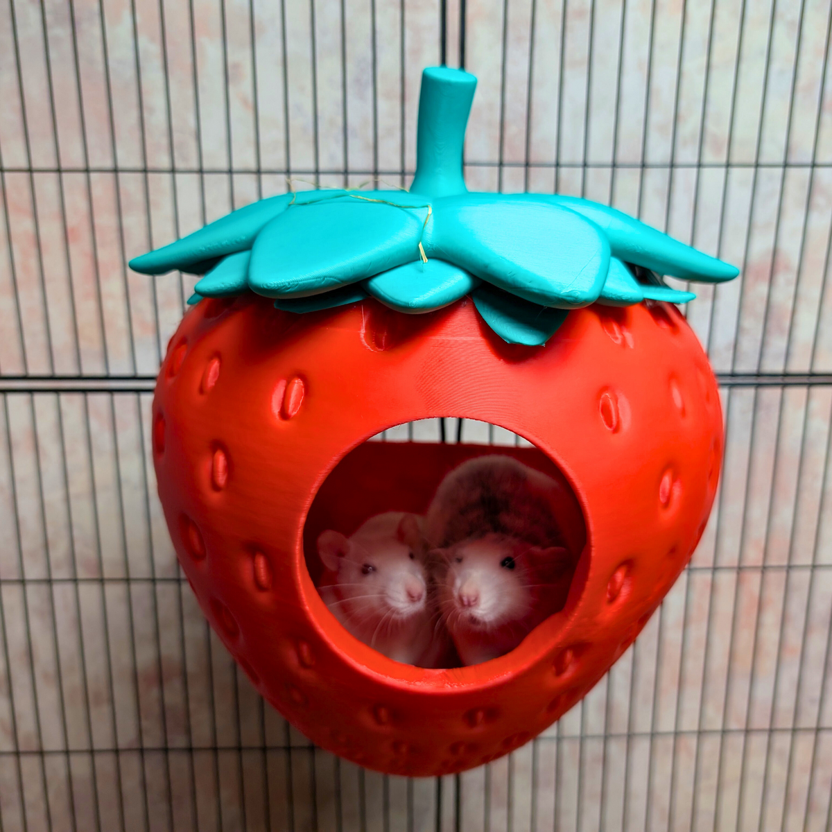 Strawberry Rat Hide: two rats peeking through round front opening