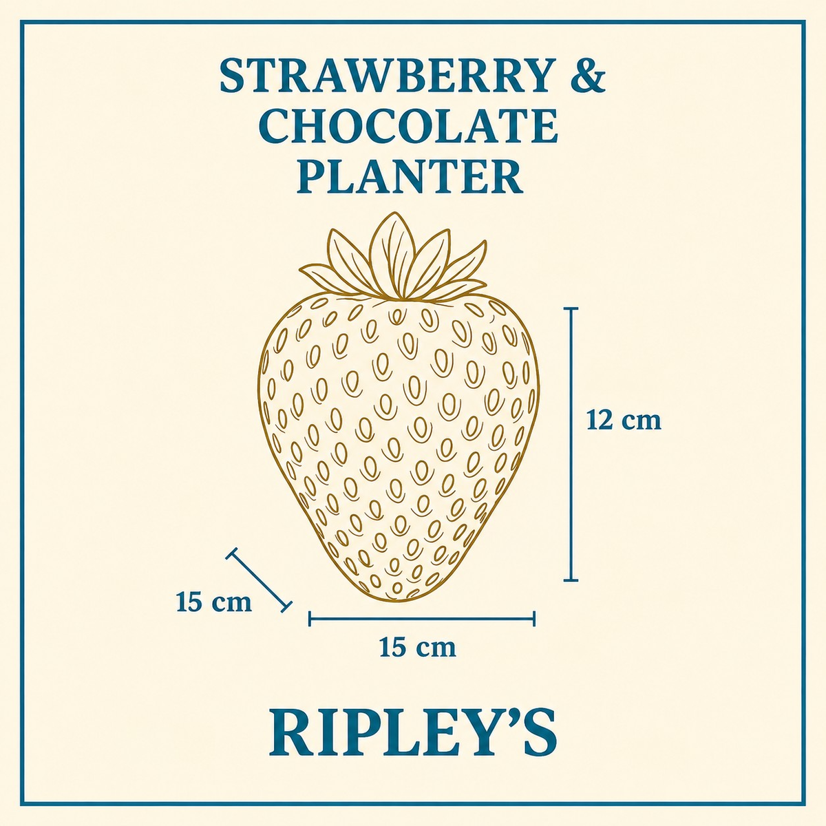 Legacy strawberry planter size card showing 12 cm high and 15 cm wide and deep