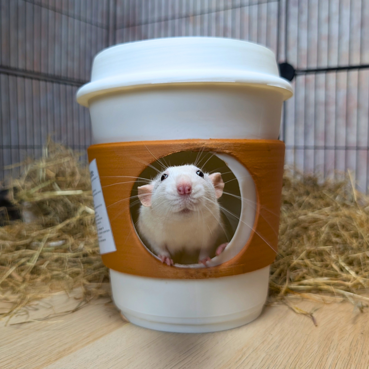 Coffee Cup Rat Hide with white rat peeking through round window