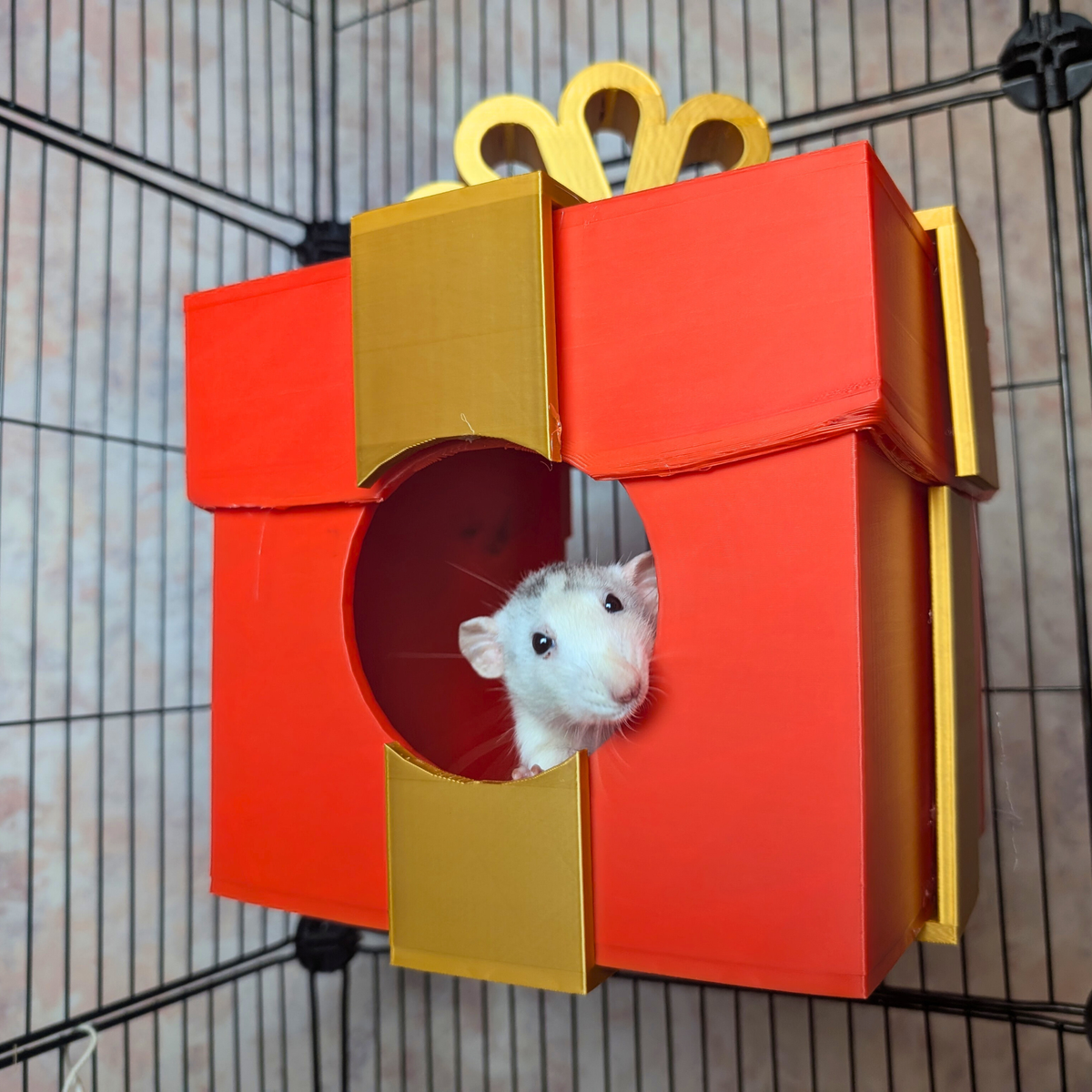 Red and gold present-shaped rat hide with a white rat inside