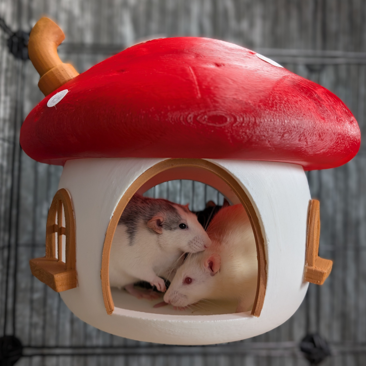Two pet rats inside a red and white mushroom-shaped cage hide
