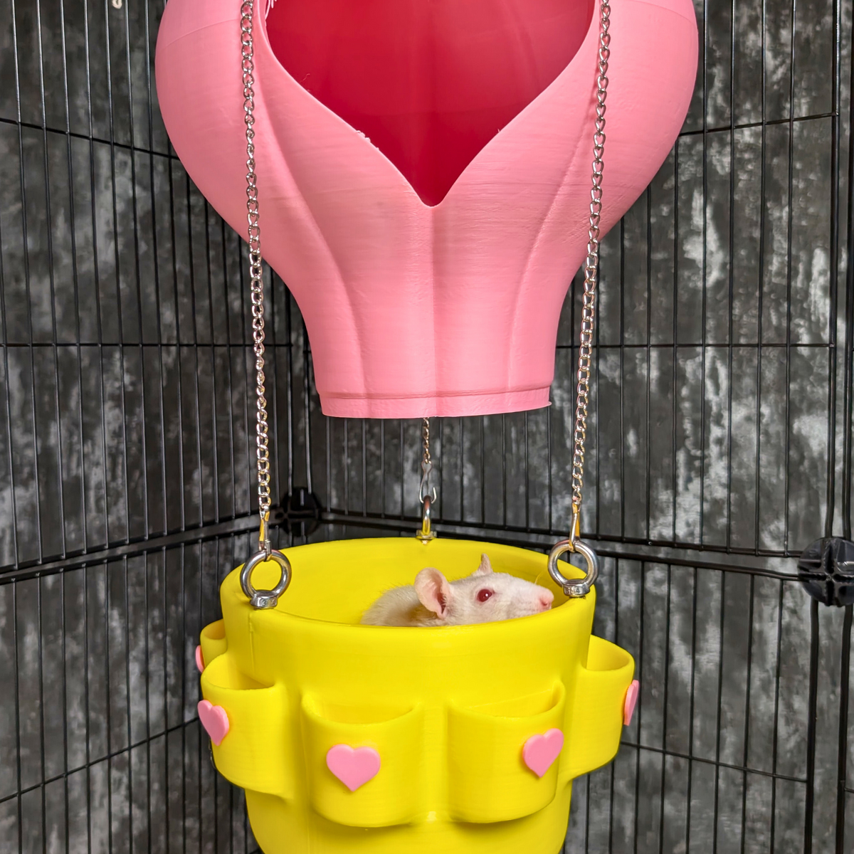 Hot Air Balloon Rat Hide – Hanging Cage Basket: Rat in the yellow basket beneath the balloon hide