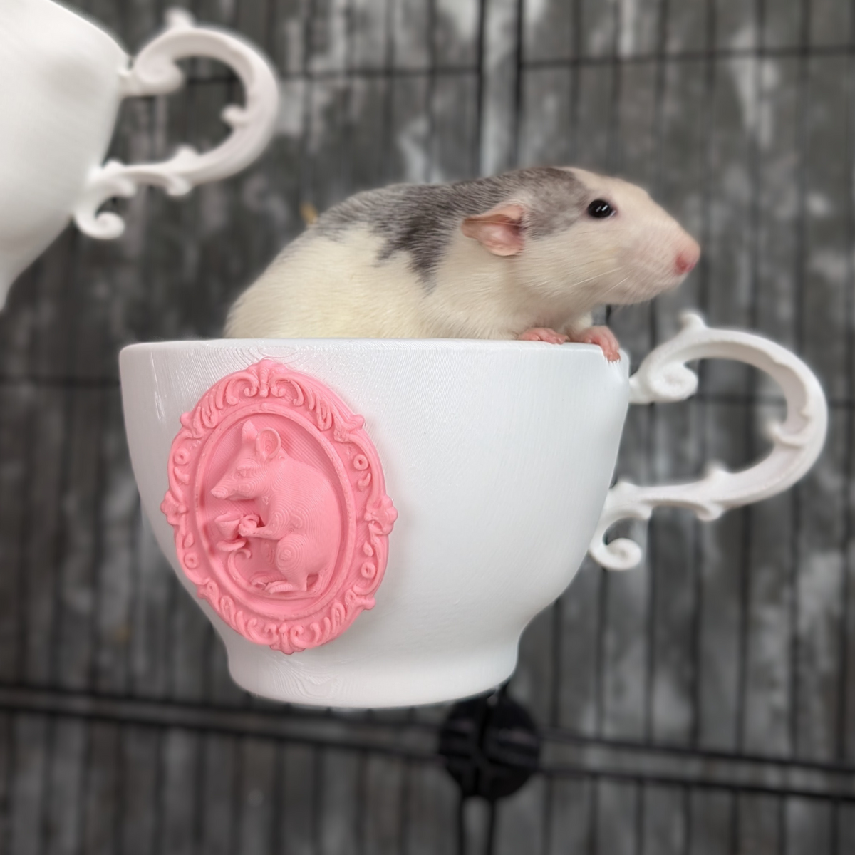 Two teacup rat shelves shown together in a cage