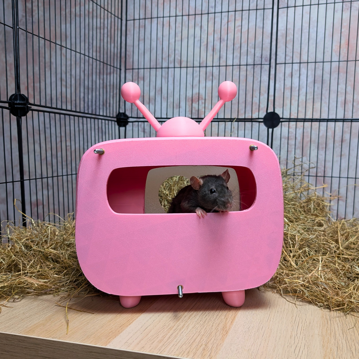 Retro TV Rat Hide side profile view