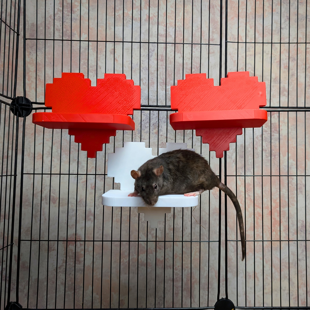 Pixel Heart Rat Cage Shelves: white rat sits on a white pixel-heart shelf