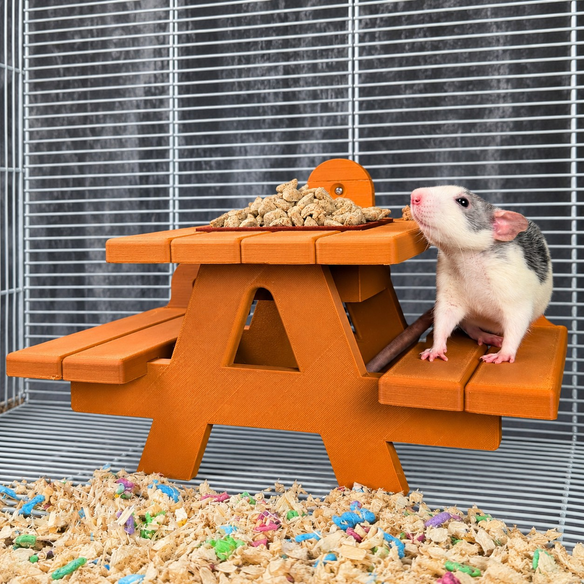 Pet rat standing beside the orange picnic bench food bowl inside a cage