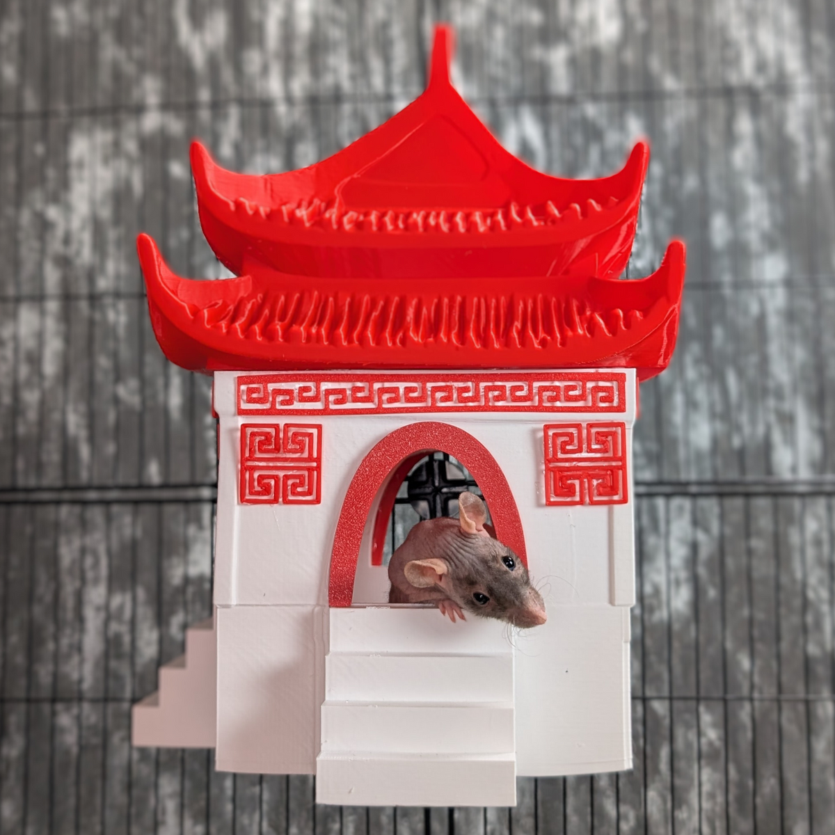 Chinese Temple Rat Hide: rat emerging from the arched entrance