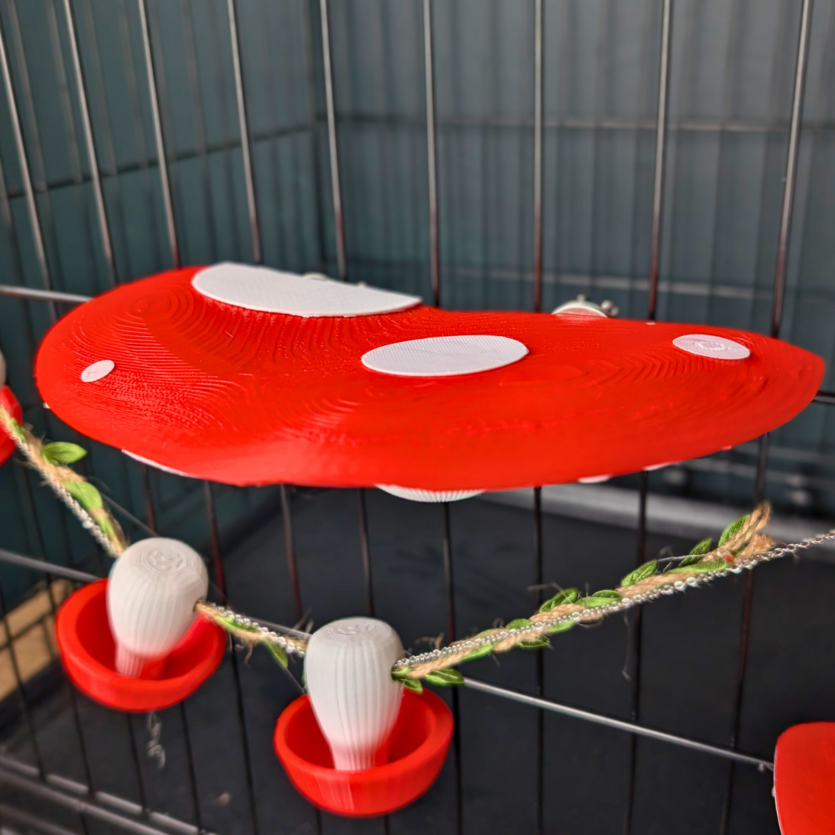 Mushroom Rat Shelf Pair: Overhead view of the mushroom shelf and hanging forage cups