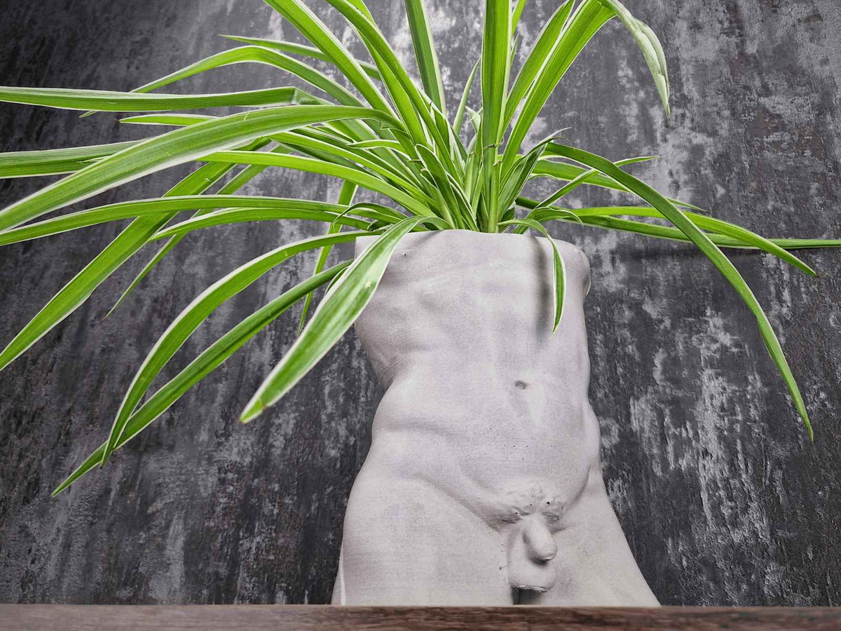 Michelangelo's David torso planter filled with a spider plant