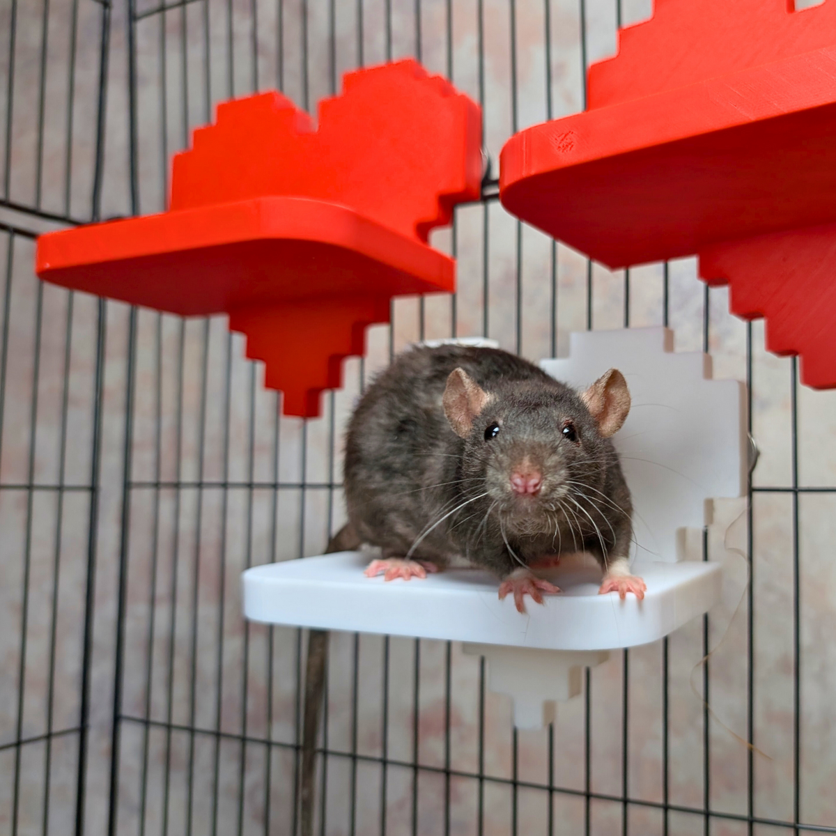 Pixel Heart Rat Cage Shelves included in Pixel gamer rat cage kit