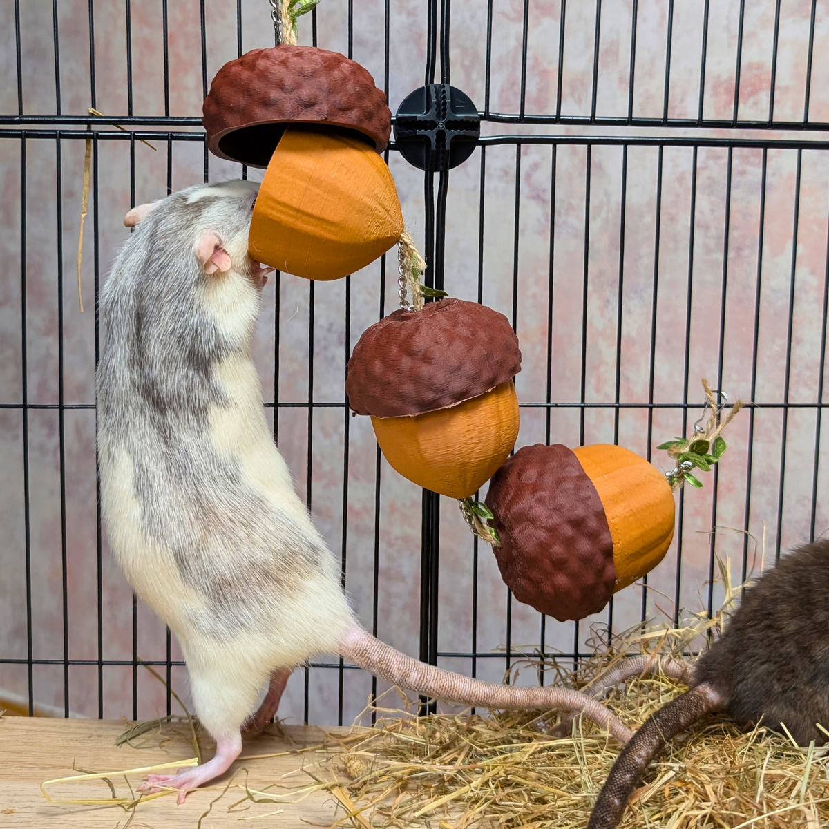 Acorn Rat Foraging Garland: two rats reach toward the acorn cups