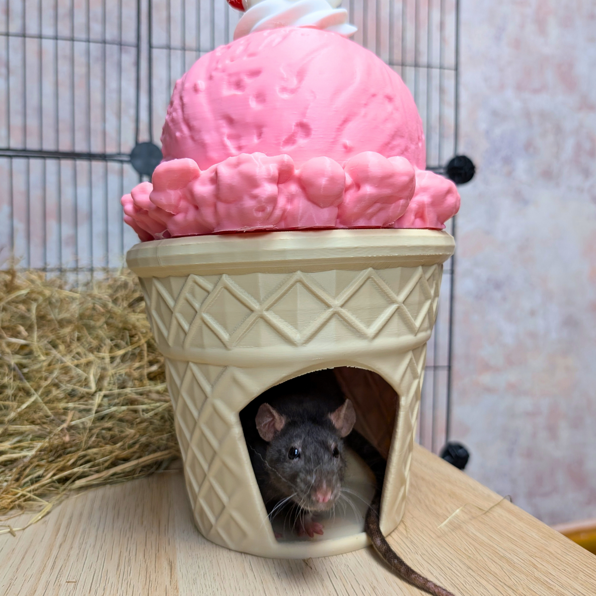Strawberry Ice Cream Cone Rat Hide with rat at doorway