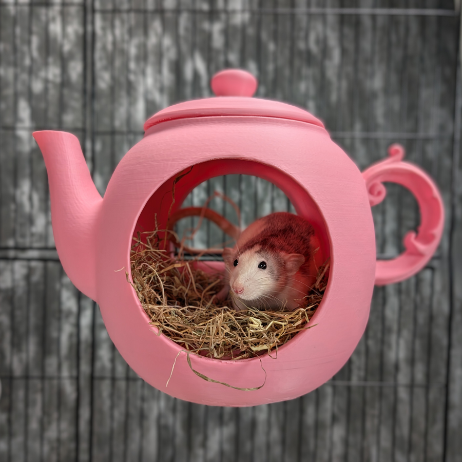 Pink teapot rat hide mounted on cage bars