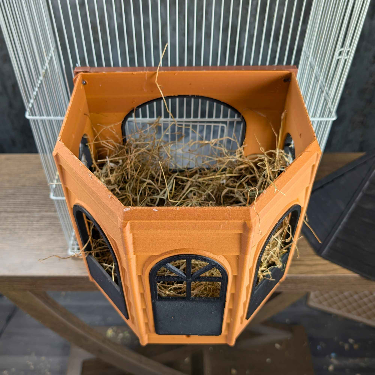 Open roof view showing nesting hay inside the Rat Mansion hide