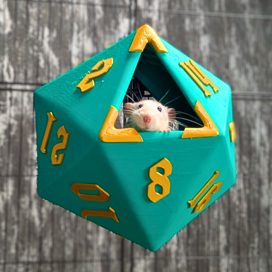 D20 Dice Rat Hide: teal twenty-sided die hide with rat in the opening