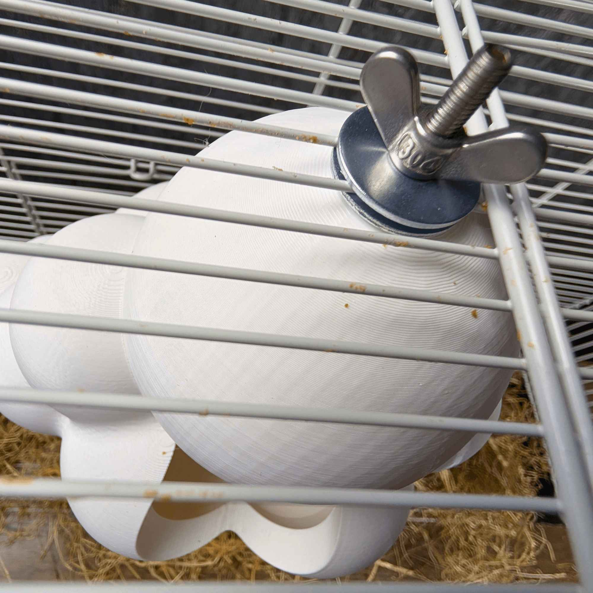 Metal clamp securing the white cloud rat hide to cage bars