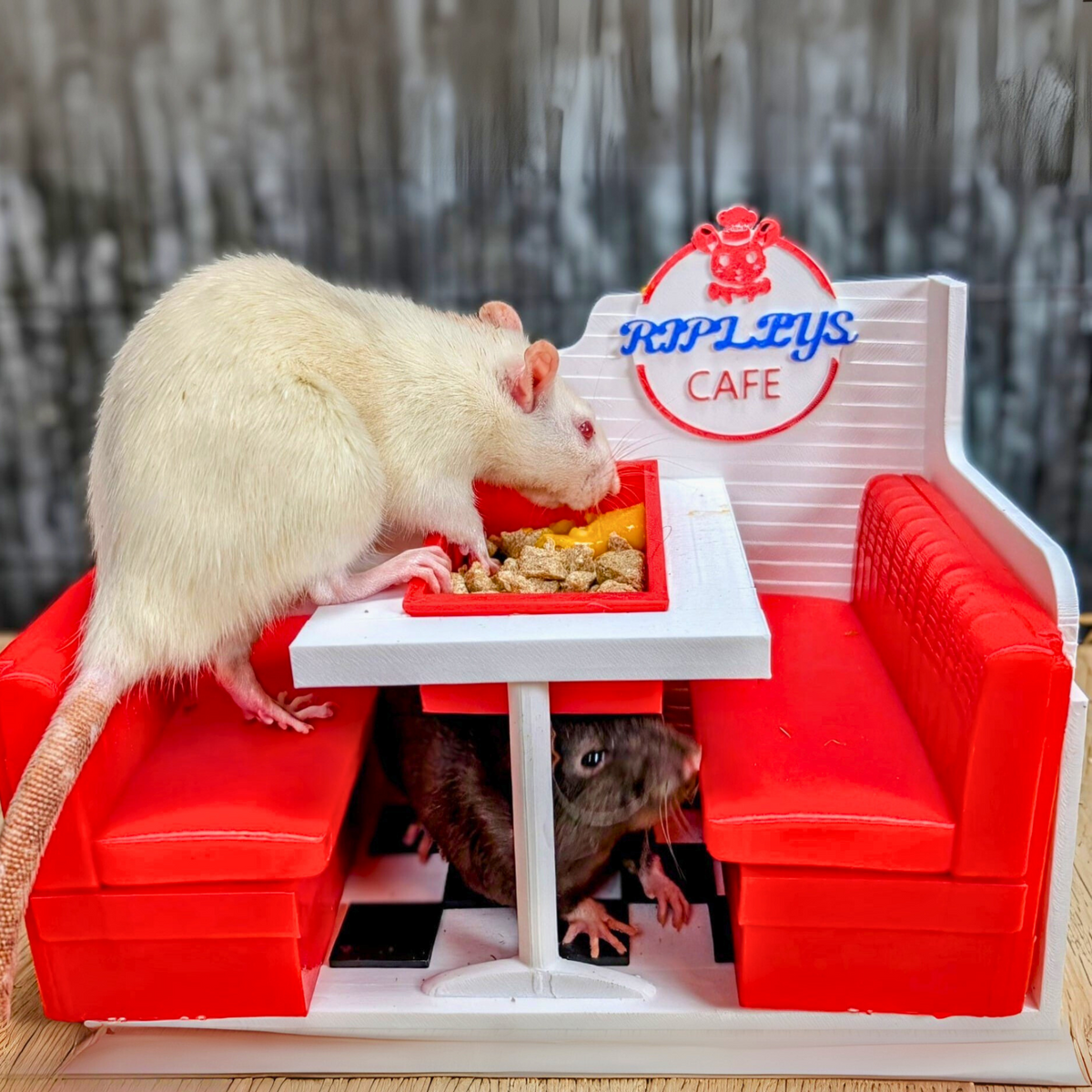 Two pet rats using the red and white Rat Diner cage feeder