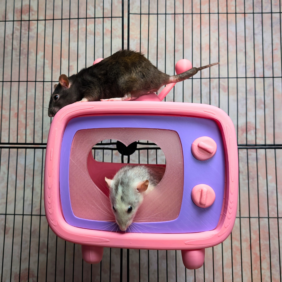 Retro TV Rat Hide with rat on top and another at opening