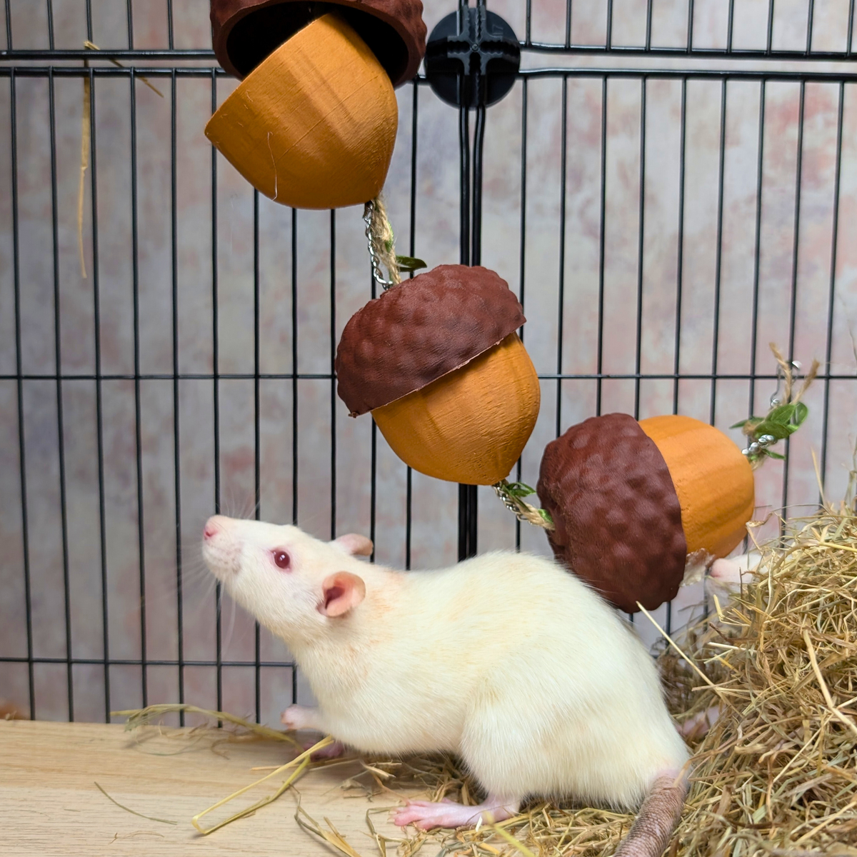 Cute Rat Toy Foraging Garland complete set laid out