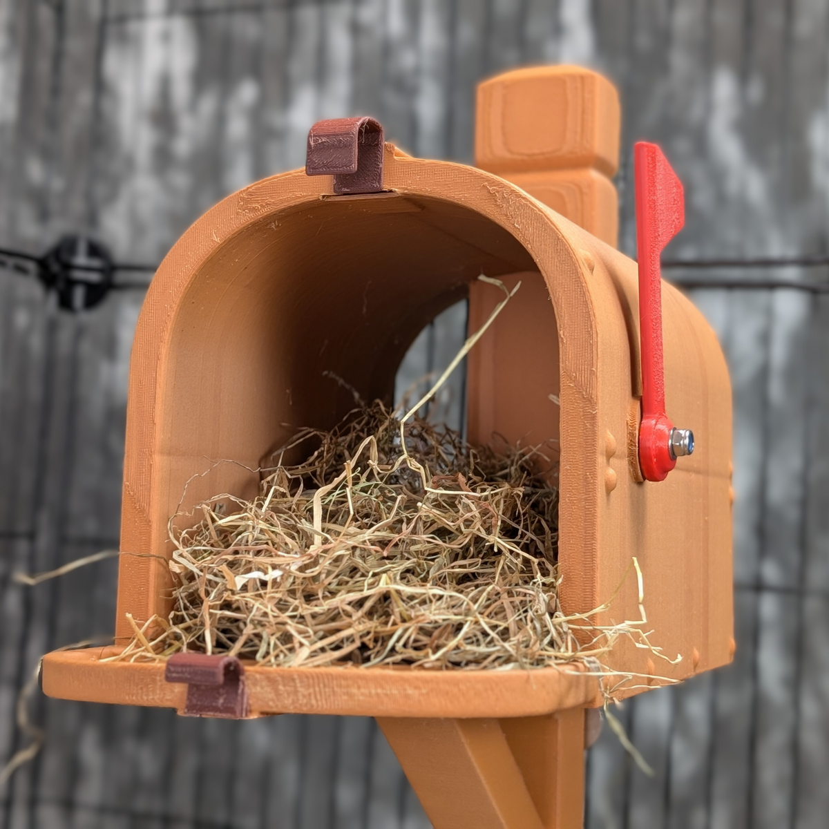 Personalised Rat Mailbox Hide: empty mailbox interior filled with bedding