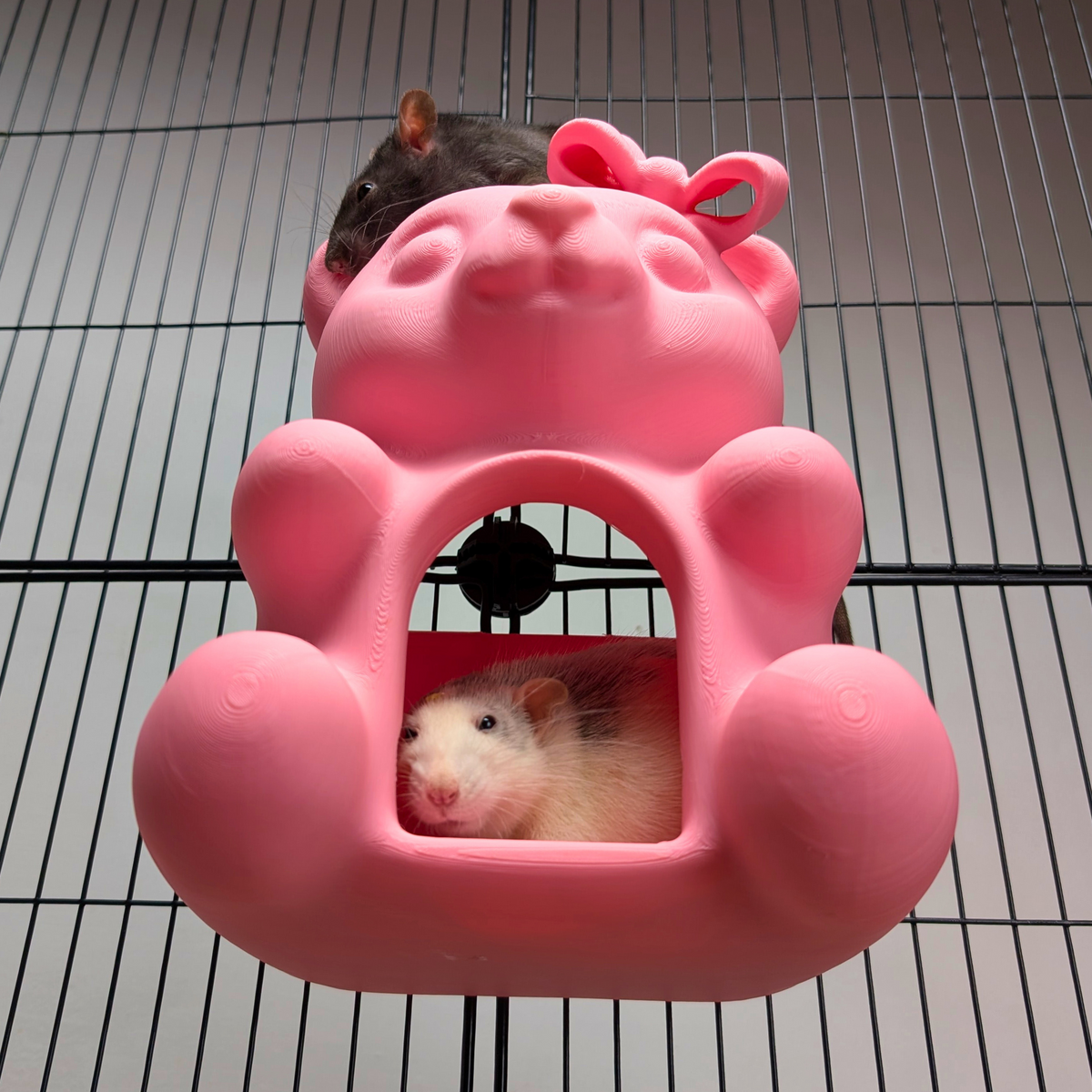 Pink Gummy Bear Rat Hide rear opening with rats