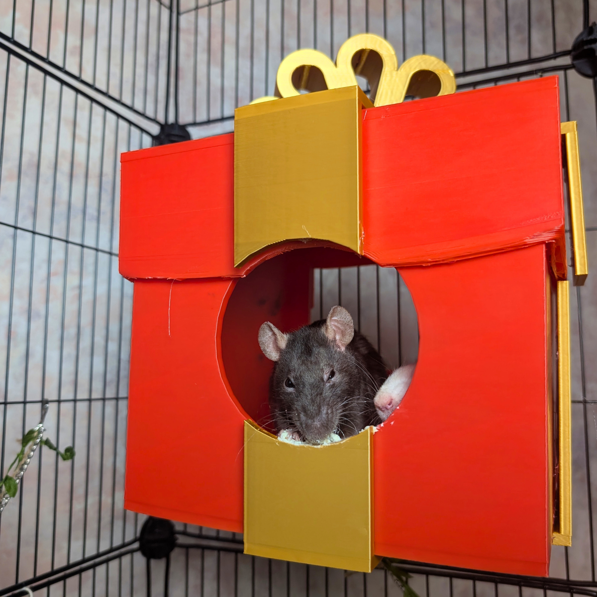 Front view of red and gold present rat hide with two rats