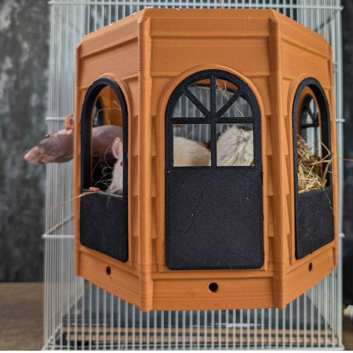 Side view of orange Rat Mansion cage hide with rats at two windows