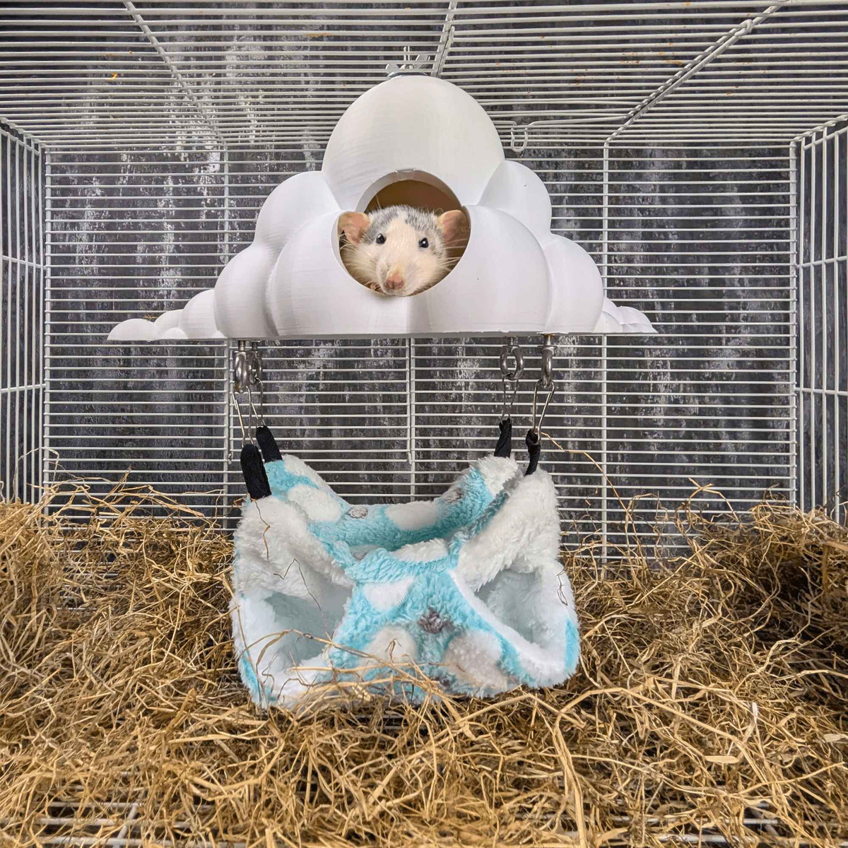 Cloud rat hide and blue hammock mounted together with two rats