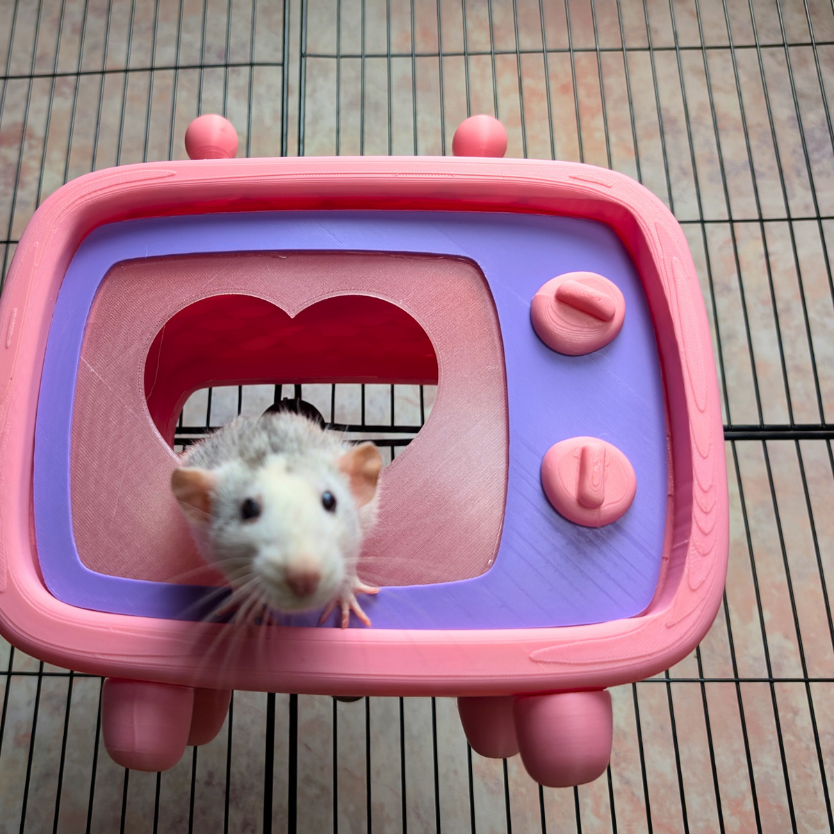 Retro TV Rat Hide displayed alongside complementary pieces