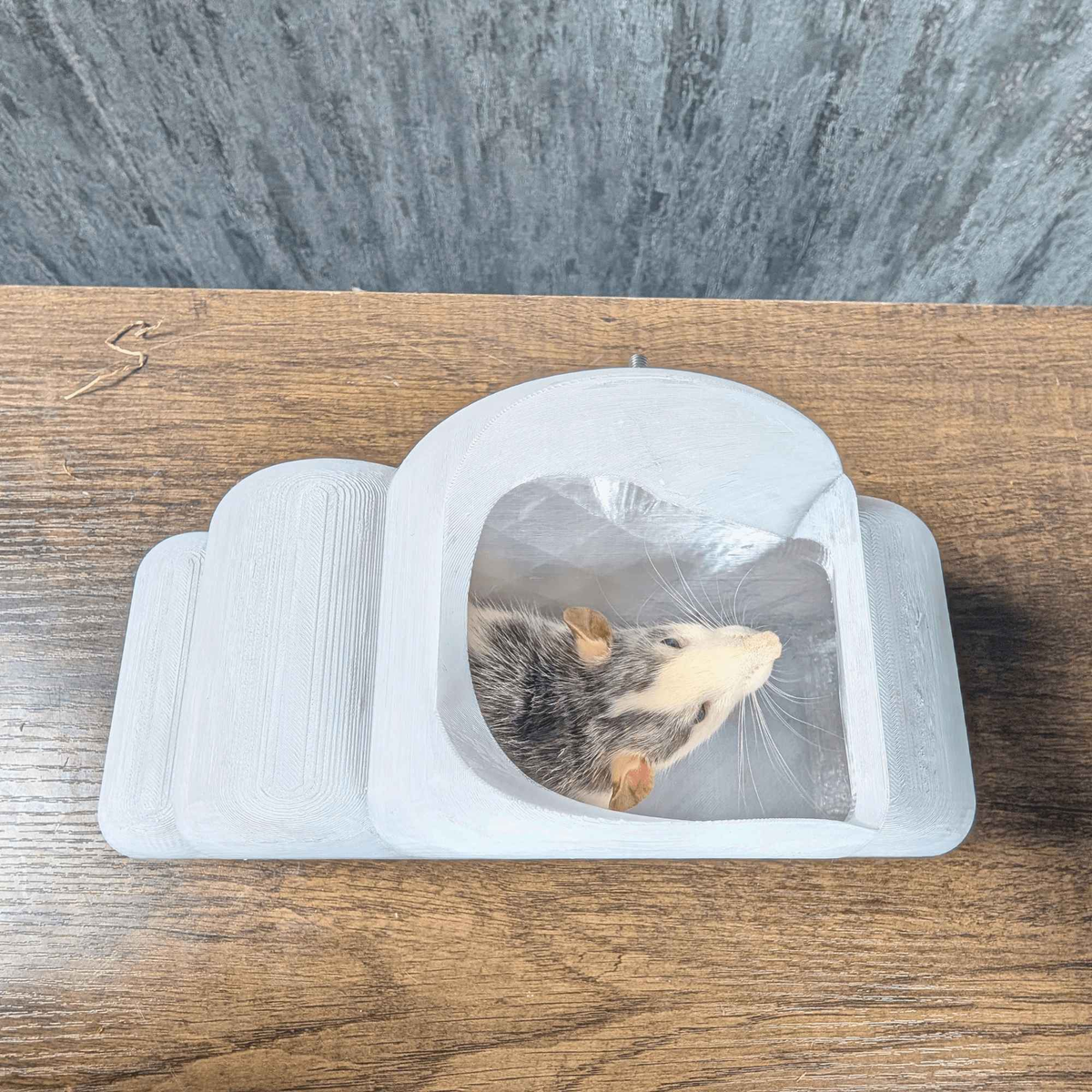 Cloud Rat Cage Shelves & Hideaway Set: cloud shelves arranged at different heights
