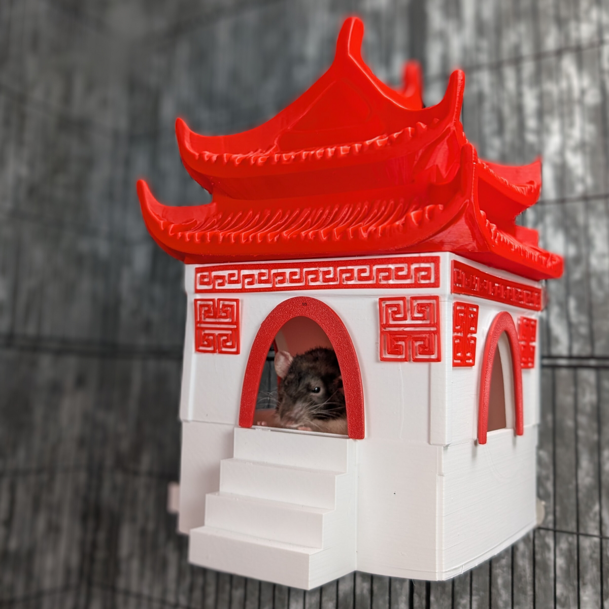 Chinese Temple Rat Hide: rat visible through the side doorway