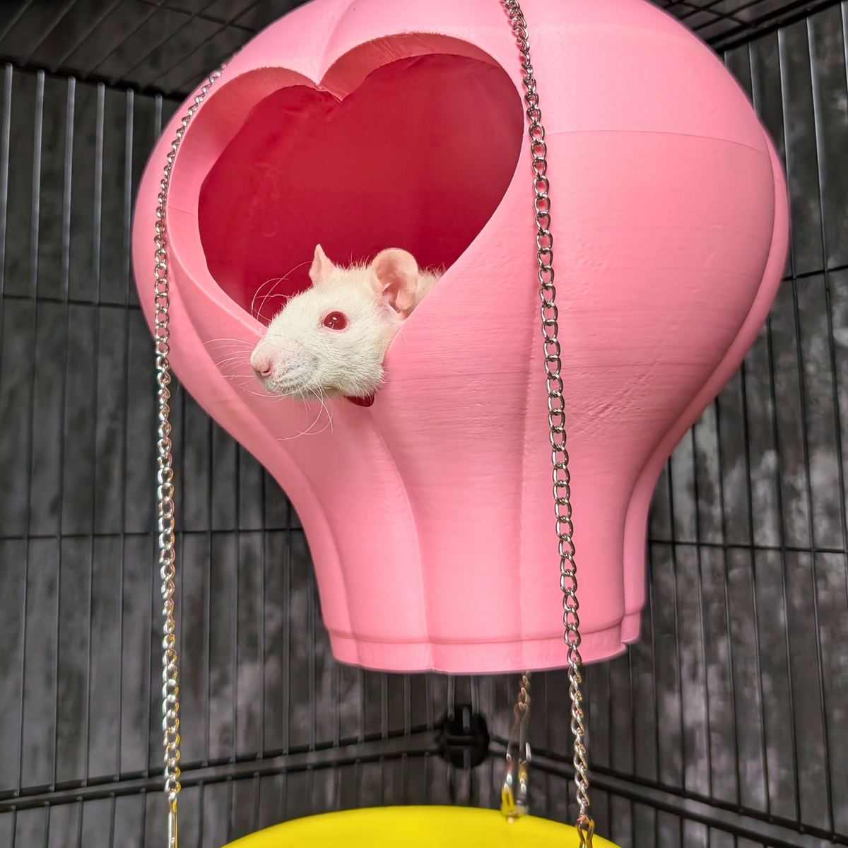 Hot Air Balloon Rat Hide – Hanging Cage Basket: White rat peeking through the balloon hide opening