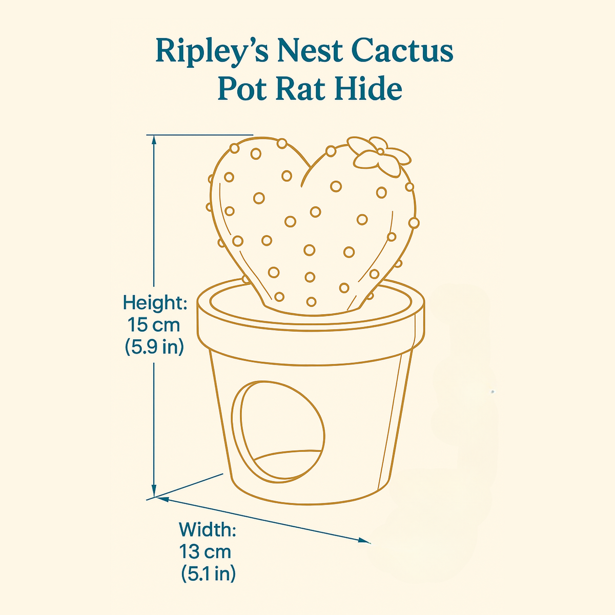 Cactus Rat Hide Set: illustrated cactus-pot rat hide dimensions