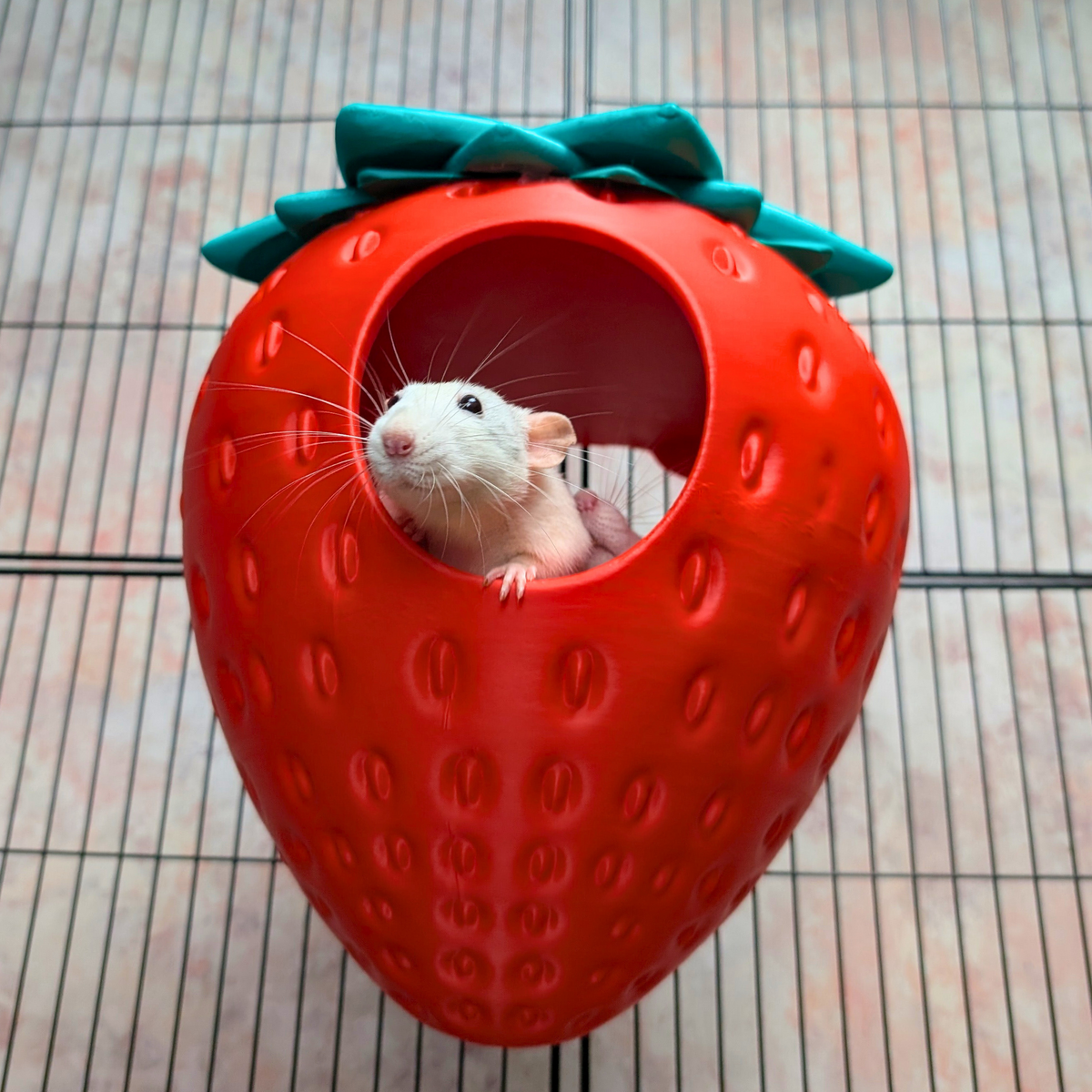 Strawberry Rat Hide with rats on top and at entrance