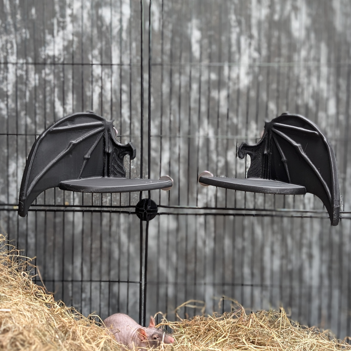 Bat Wing Rat Cage Shelf: front view of the paired black wing shelves in a cage